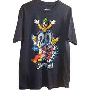 Disneyland Resort 2013 Graphic T-Shirt